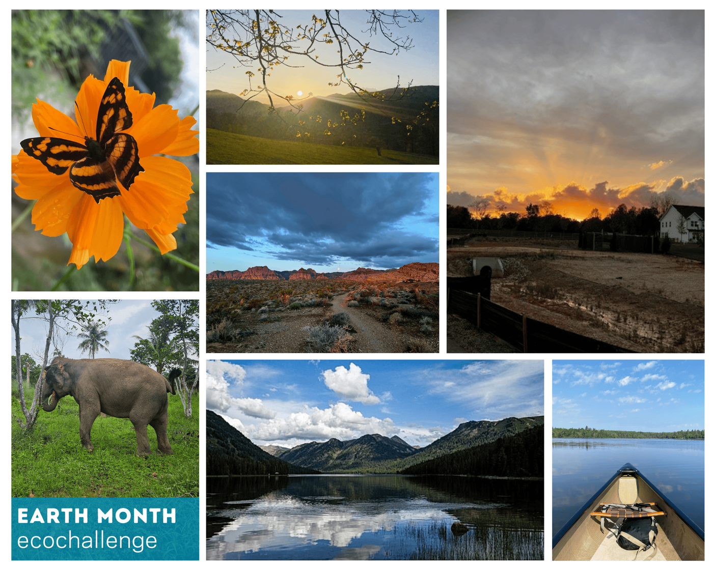 Earth Month Ecochallenge - Global.png